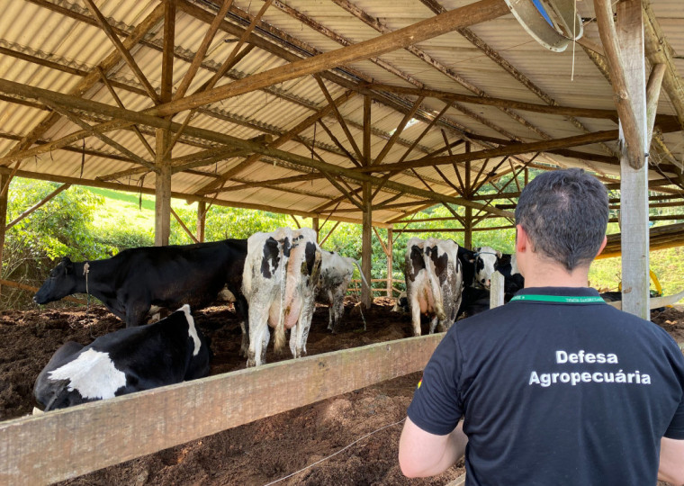 Defensores do status apontam abertura de novos mercados e possibilidade de alavancar exportações