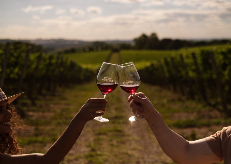 Wine Walk da Vinícola Aurora