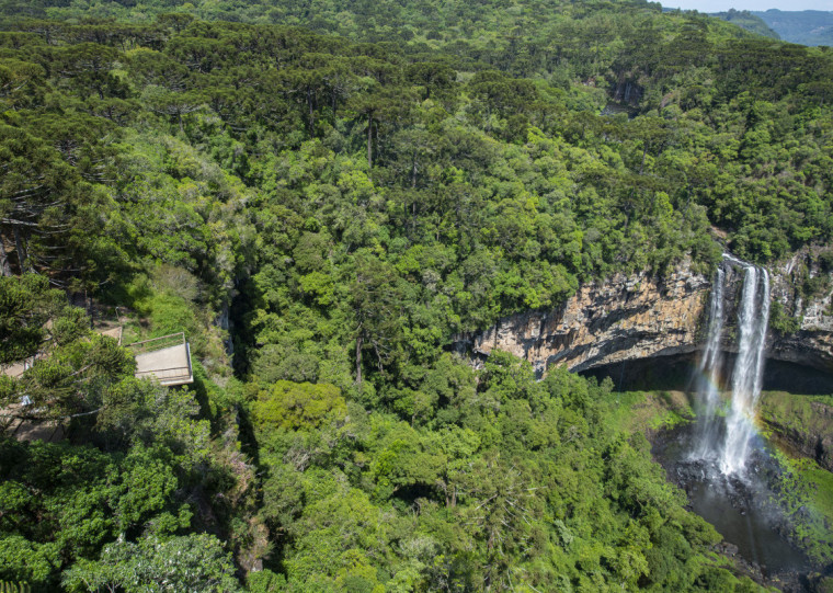 Visitantes que tiverem entradas para o período precisarão reagendar