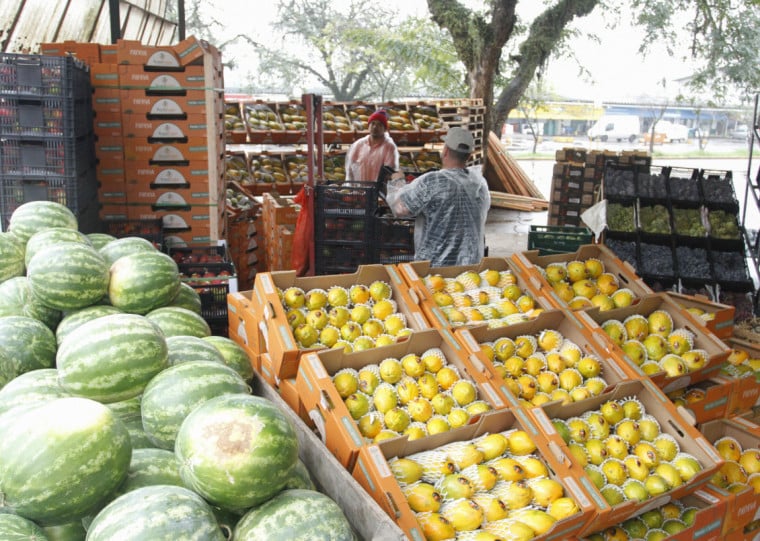 A melancia teve alta de mais de 180% nos últimos 90 dias, em razão da sazonalidade