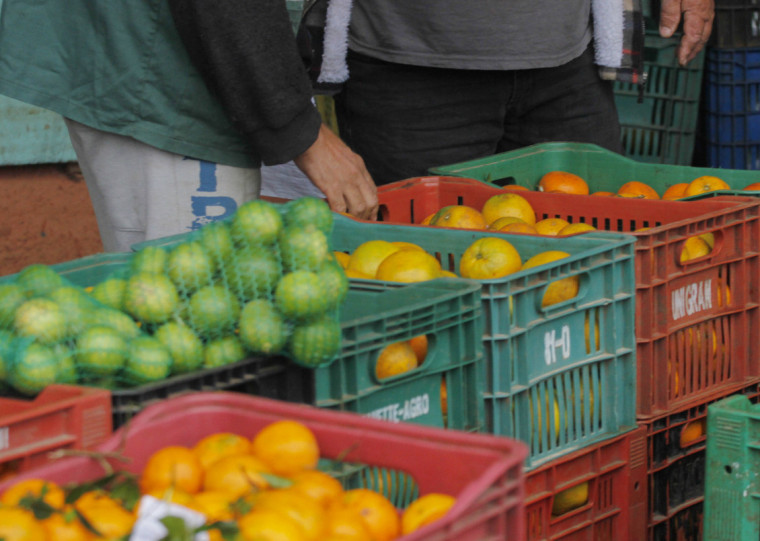 Entre os componentes do grupo, a alimentação no domicílio teve alta de 0,95% em outubro