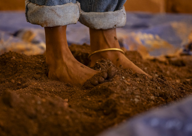 Série de atividades propõe reflexão sobre a relação entre humano e natureza e marca o último trimestre de 2024, com início nesta quarta-feira (16)