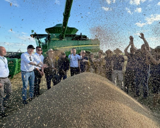 Safra gaúcha de trigo será a maior do País, com 4 milhões de toneladas