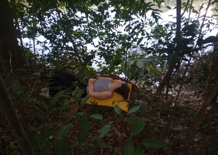 Passar um tempo em contato com a natureza pode reduzir ansiedade, estresse, tensão e emoções negativas