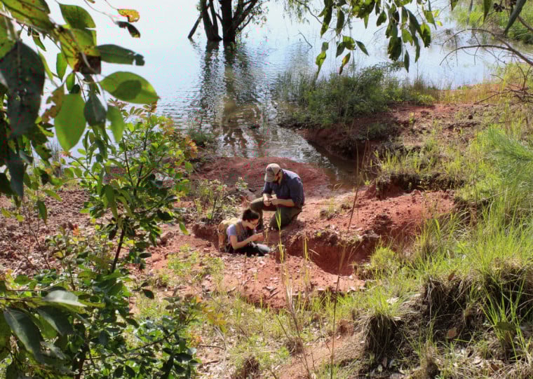 Material foi avaliado por equipe da Universidade Federal de Santa Maria (UFSM)