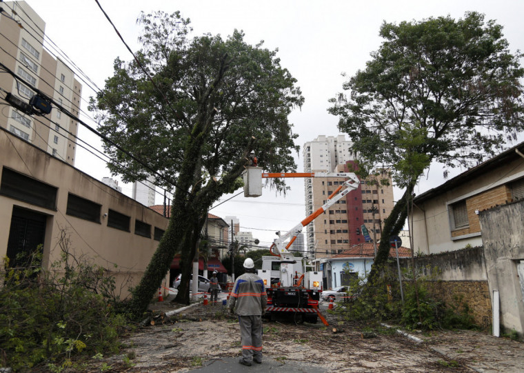 Ainda há 19 árvores que aguardam a Enel desligar a energia para serem removidas em São Paulo