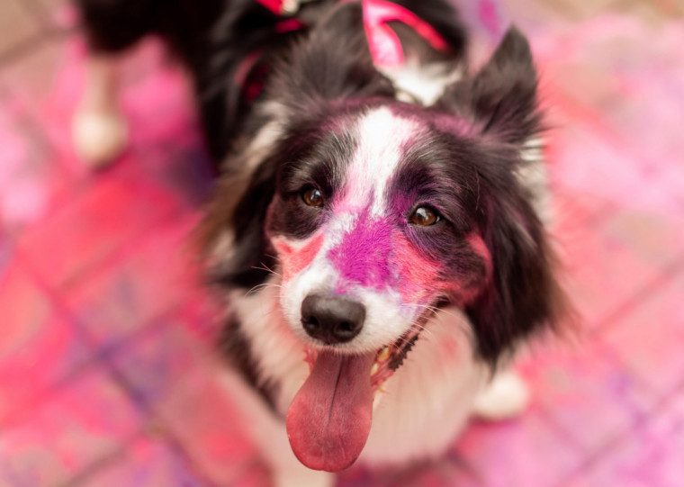 O evento é gratuito e ocorre na rua Vitor Hugo, 137, Petrópolis, em Porto Alegre