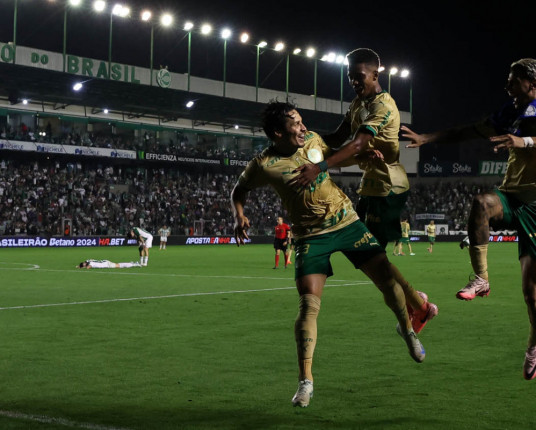 Palmeiras tem mais chances de título do que o Botafogo após a 30ª rodada do Brasileirão