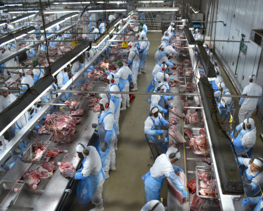 Força de trabalho gaúcha já conta com mais de 51 mil estrangeiros