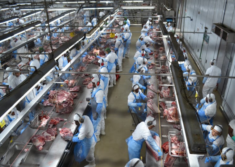 Perdas anteriores levaram a Dália a antecipar adaptações na fábrica