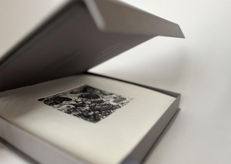 Objeto de arte que reúne composições de Vagner Cunha e gravuras de Teresa Poester tem lançamento nesta terça-feira