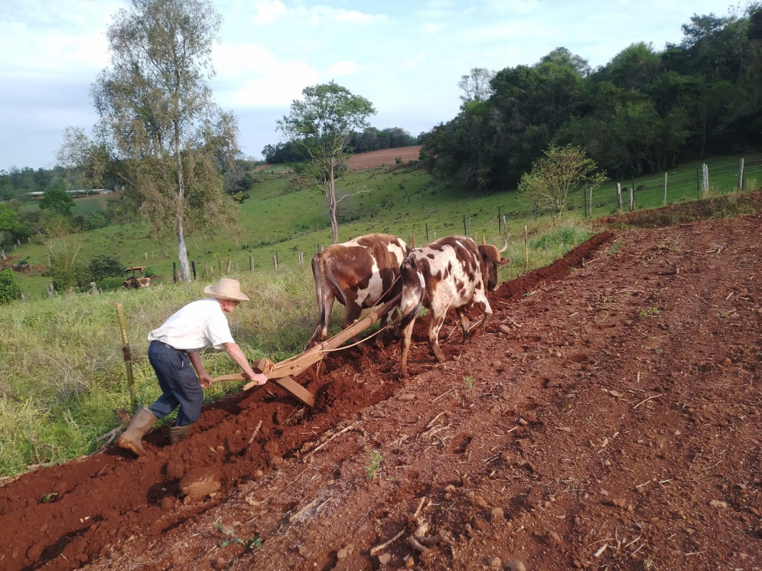   | Danilo Ozimkoski/DIVULGA&Ccedil;&Atilde;O/JC 