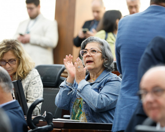 Assembleia aprova projeto de igualdade salarial de gênero para terceirizados do RS