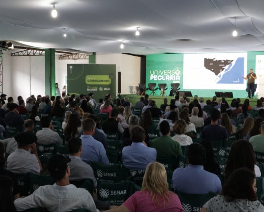 Integração entre pecuária e lavoura ajuda a preservar o Pampa