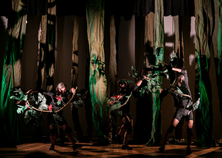 espetáculo 'Amazônia - um olhar sobre a floresta'_Grupo Gompa