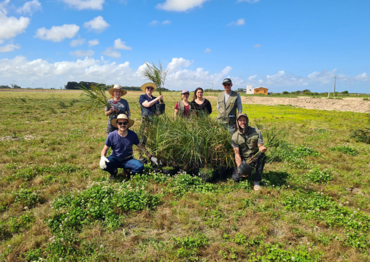 A expectativa é de ampliar a plantação de butiazeiros até cobrir uma área de 22 hectares