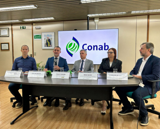 Produtores de trigo gaúchos poderão vender até 200 mil toneladas do cereal para a Conab