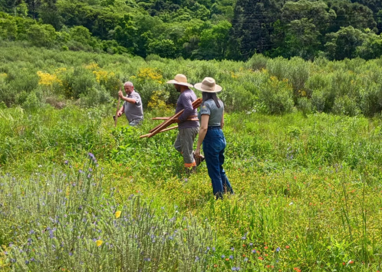 Programa auxilia na recomposição de matas ciliares e ampliação de áreas de proteção ambiental