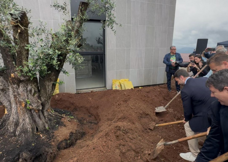 O governador Eduardo Leite participou do plantio da oliveira