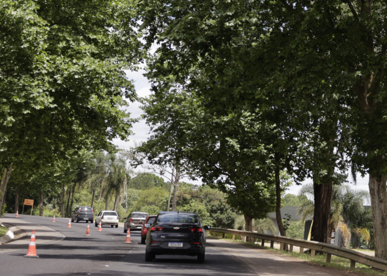 Intervenção teve um custo total de R$ 3,2 milhões em uma extenção de 22 quilômetros  