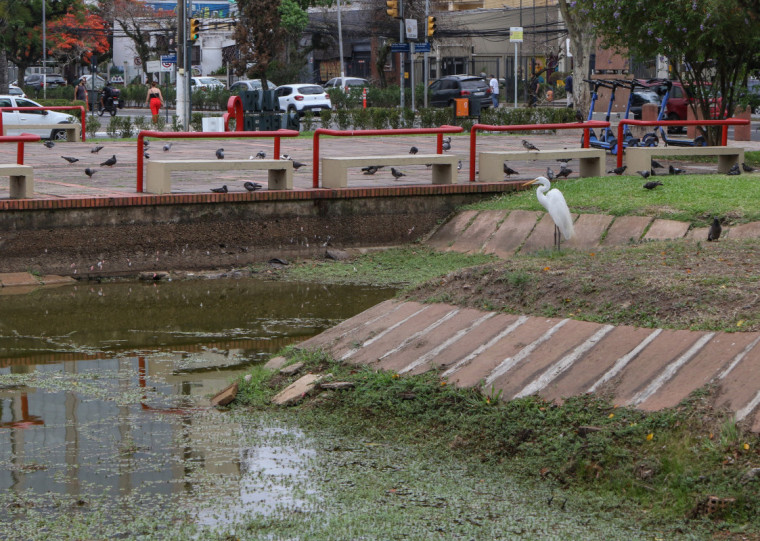 Vistoria será realizada pelo Dmae no local ao longo desta sexta-feira (29)