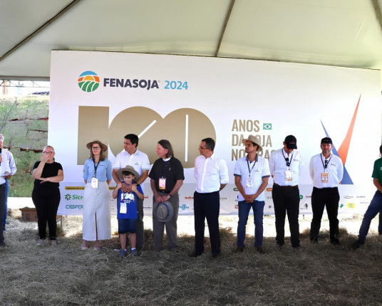 Safra de soja pode crescer 18,5% no RS, com 21,6 milhões de toneladas