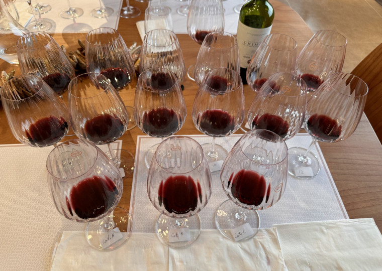 Iniciativa marcada para esta terça-feira (3) também terá o anúncio dos vencedores do prêmio dos destaques do setor vinícola de 2024