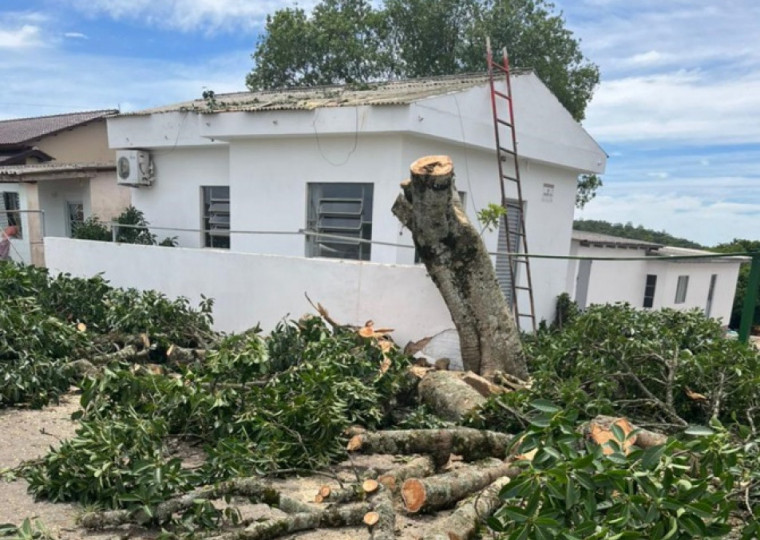 As chuvas causaram destelhamentos e desabamentos de árvores na cidade