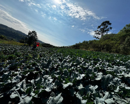Agricultura familiar traz oportunidades de negócios no Norte gaúcho