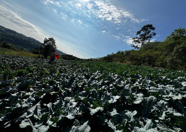 Setor é essencial para o desenvolvimento microrregiões como Frederico Westphalen e Erechim