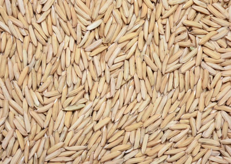 Ação faz parte da estratégia do governo federal para apoiar a agricultura familiar gaúcha