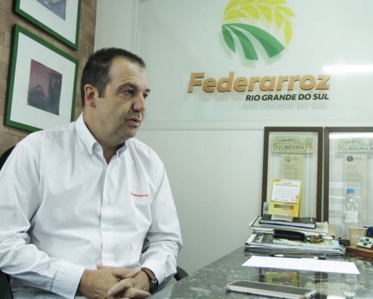 Área cultivada com arroz deve ser menor que a projetada inicialmente