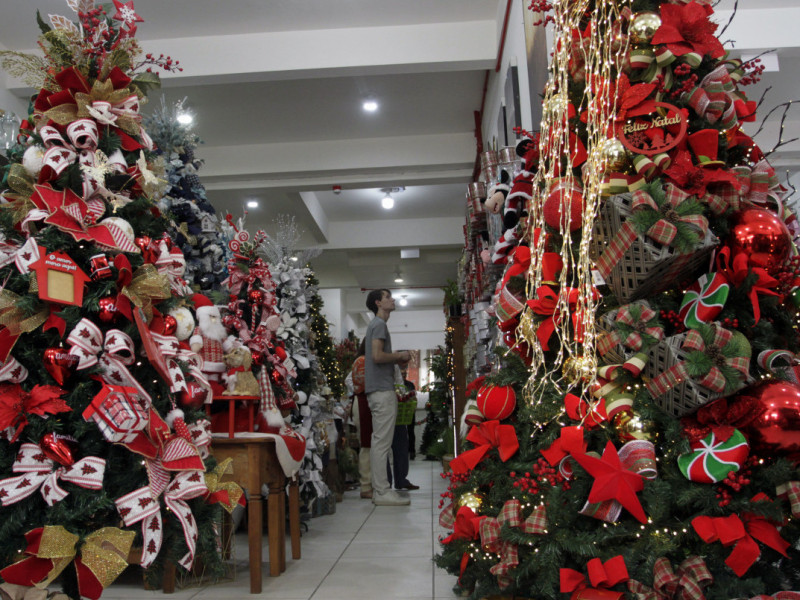 A loja oferece op&ccedil;&otilde;es de &aacute;rvores para aluguel Foto: ANDRESSA PUFAL/ESPECIAL/JC