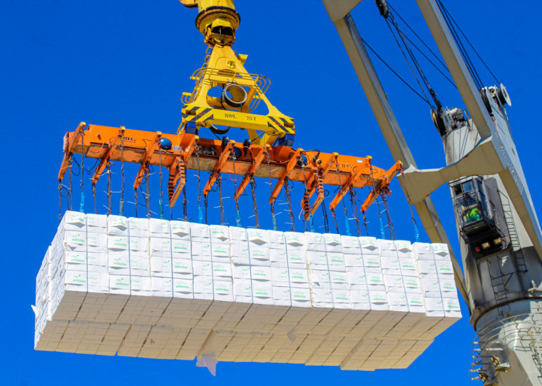 Produção de celulose avançou 20,2% em janeiro no RS na compararação com o mesmo mês de 2024