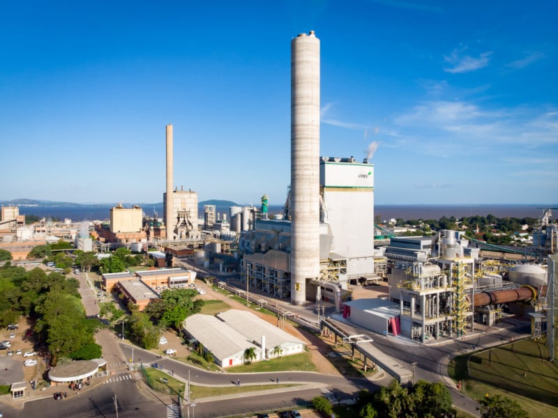 Celulose poderá se tornar um dos principais produtos exportados pelo RS até 2030