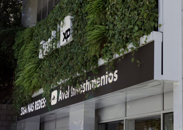 Lucro da XP impulsionado por renda variável e novas verticais