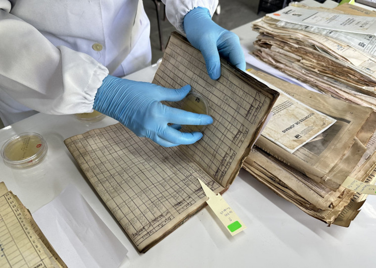 Impactado pela enchente, arquivos que estavam em Arroio dos Ratos passaram por diversos processos