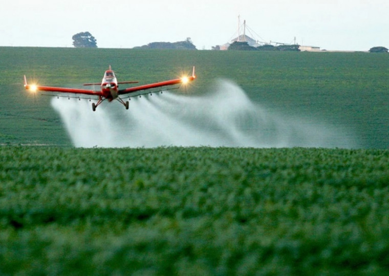 Projeto sobre uso de herbicidas hormonais contendo princípio ativo 24d tramita na Câmara dos Deputados
