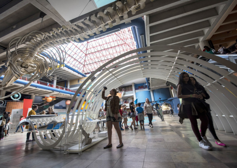 Entre as atividades, está a Colônia de Férias para crianças de 7 a 12 anos em janeiro e fevereiro