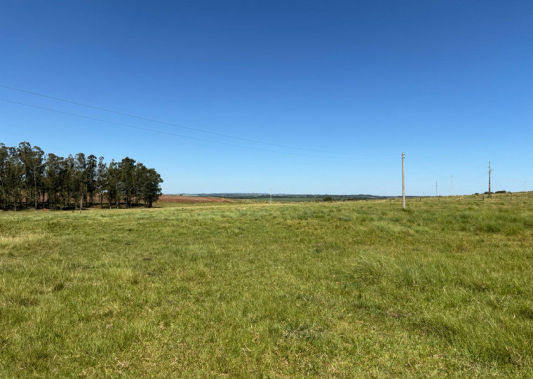 Recuperação de Biomas, criado em 2018, já preservou 5 mil hectares de campo nativo no Pampa