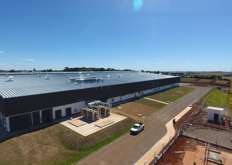 Modernização fortalece cadeia produtiva de frango com padrão internacional 