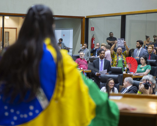 Câmara de Porto Alegre tem manifestações do 8/1