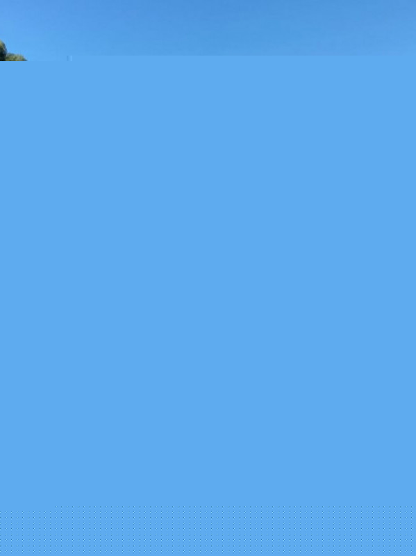 Apesar de um ano desafiador, criadores associados à Gadolando atingem suas metas entendendo que fazem parte de uma atividade que nunca para