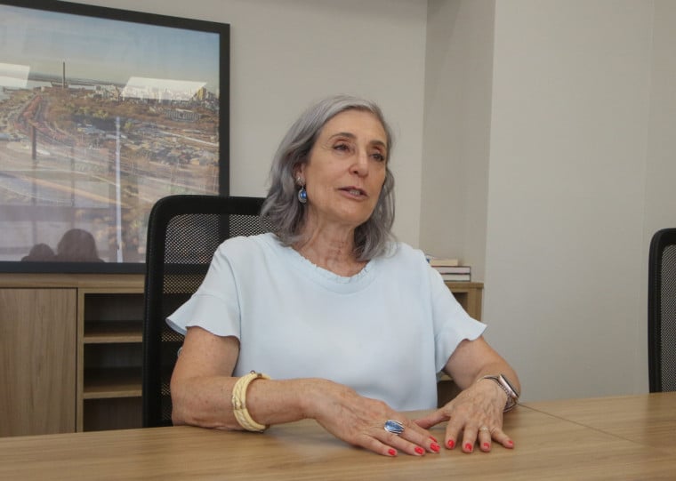 Ana Pellini, secret&aacute;ria municipal da Fazenda 