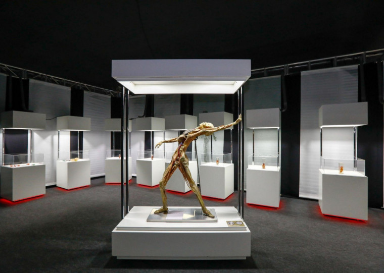 Venda de ingressos para a exposição, que abre em 10 de março, começam nesta quarta-feira (22)