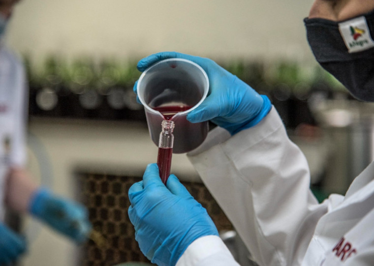 Laren recebeu 60 amostras da Serra e Campanha para analisar a qualidade da uva produzida para este ano