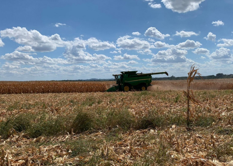 Se o cenário não mudar, FecoAgro/RS prevê possibilidade de 21% de quebra na safra de soja