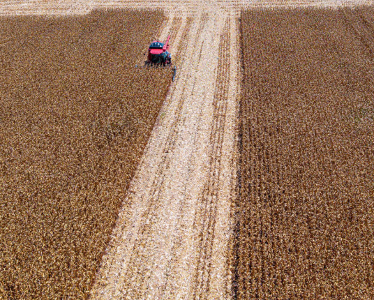 Governo abre crédito de R$ 12 bilhões para produtores rurais