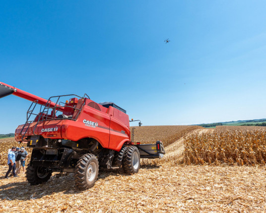 Colheita do Milho começa com expectativa de crescimento de 18,3%