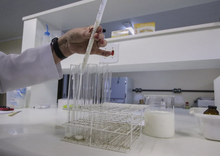 Teste de qualidade do leite é realizado para verificar se há presença de produtos adulterantes no alimento